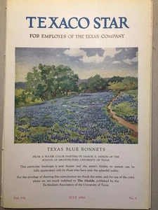 Austin TX Blue Bonnets 1920 University Texas School Architecture-Samuel E Gideon - Picture 1 of 12