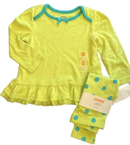 NWT Girls 18-24 m Gymboree COLOR HAPPY Cotton Green/Teal 2pc TOP & LEGGINGS Set - Picture 1 of 4