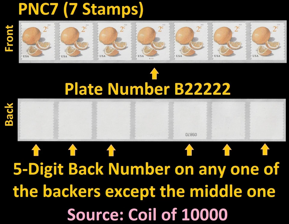 US 5256 Meyer Lemons 2c PNC7 B22222 5d back # MNH 2018 - Image 1 of 1