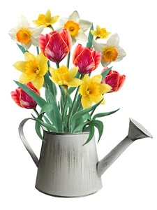 Autoaufkleber Sticker Tulpen Blumen Garten Natur Aufkleber - Bild 1 von 1
