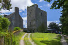 Photo Irish Castle 12x8 (A4) Castles of Munster: Castle Richard Cork (1)  c2009