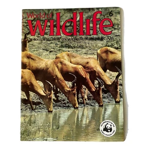 World Of Wildlife Magazine Issue 6 - Bild 1 von 11