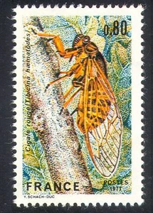 France 1977 Cicada/Insects/Nature/Conservation 1v n23811 - Picture 1 of 1