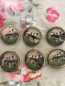 Set 6 antike Essex Kristall umgekehrt bemalt Intaglio 2 Retriever Hunde Knöpfe - Bild 1 von 3