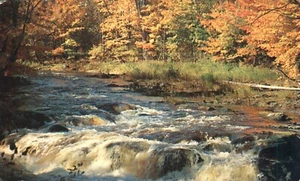 Postal de Saludos desde Oneonta Alabama Rushing River Scene 1957 - Imagen 1 de 2