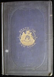 STAAT NEW YORK: HISTORISCHE BESCHREIBENDE HINWEISE, von Henry Kollock - 1882 - Bild 1 von 10