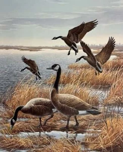 Maynard Reece Water's Edge - Canada Geese (Excellent Condition) - S/N Lithograph - Picture 1 of 1