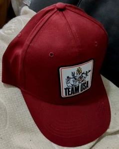 Equipo USA Loony Toones Personajes Hombre Sombrero Ajustable Borgoña Nuevo Con Etiquetas - Imagen 1 de 7