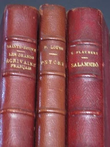 FRENCH NOVELS ~ 1926 16TH CENTURY POETS / 1927 PSYCHE / 1912 SALAMMBO, FLAUBERT - Picture 1 of 12