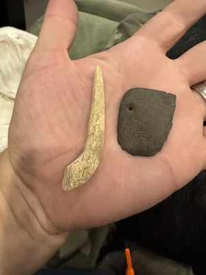 Auténtica porción de colgante perforado y gancho de hueso del condado de Humboldt Foto 1 de 2