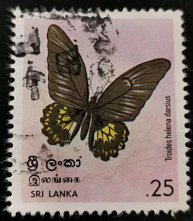 Sri Lanka: 1978 Butterflies 25 C. (Collectible Stamp). - Image 1 of 1