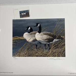 Neal Anderson 1991 First Of State Nebraska Duck Stamp Print & Signed Stamp Folio - Picture 1 of 7