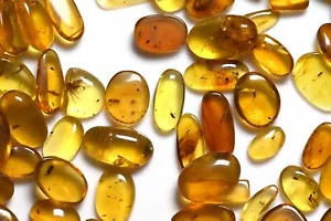 GENUINE Fossil Insect Inclusion in Burmese amber - Price per piece - Picture 1 of 8