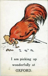 POSTAL IMPRESA DE POLLO CÓMICO ""RECOGIENDO MARAVILLOSAMENTE EN OXFORD", OXFORDSHIRE - Imagen 1 de 2