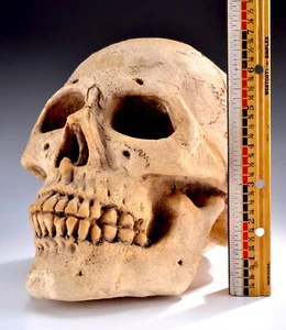 Vintage Realistic Styrofoam Head Skull 8.5"x 7"x 7" Halloween - Monster - Picture 1 of 7