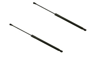 Pair of 2 Hatch Lift Supports Right / Left Sachs SG201067 - Picture 1 of 2