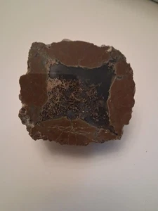 Polished Thunder egg half  10.4 Ounce Mossy Beauty  - Picture 1 of 9