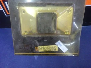 Harley's Customs Choppers Cromo PIRÁMIDE EN ÁNGULO MONTAJE DE MATRÍCULA - Imagen 1 de 7