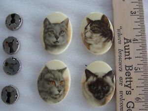 4 boutons/embellissement acryliques Kitty Cat 2" avec dos bouton métallique détaché