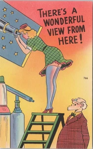 HUMOR PC-THERE'S A WONDERFUL VIEW FROM HERE ! - Picture 1 of 2