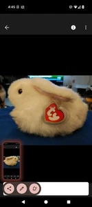 Vintage Ty Beanie Baby. Nibbles, The Retired, Rare, White Bunny. 1993. - Picture 1 of 7