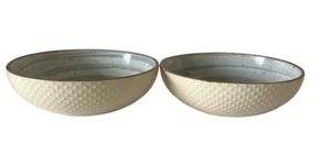 Set of 2 Elama Mellow Stoneware Soup Cereal Bowls Cream with Powder Blue Swirl - Picture 1 of 6