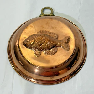 Molde de pescado de cobre vintage - forrado de estaño con mango de latón - colgante de pared 73/4" - Imagen 1 de 4