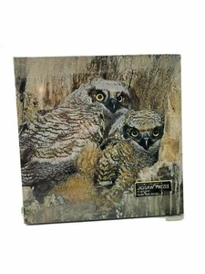 VTG SPRINGBOK Jigsaw Puzzle Masters of the NIght (owls) - Picture 1 of 6