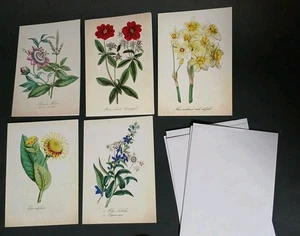 5er Set Sierra Club, Botanische Karten mit Umschlägen innen leer 🌹 - Bild 1 von 9