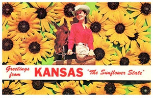 Kansas Sunflower State Cowgirl Horse Greetings Post 1985 Vintage Chrome Postcard - Picture 1 of 3