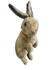 Steiff Bunny Vintage Mohair 13” No Tag