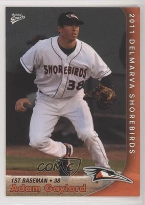 2011 MultiAd Sports Delmarva Shorebirds Adam Gaylord #8 - Image 1 of 2