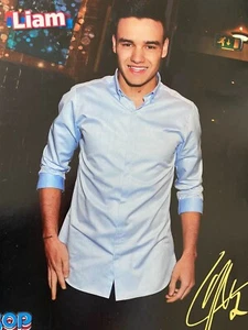 Liam Payne, One Direction, Zendaya, Double Full Page Vintage Pinup - Picture 1 of 2