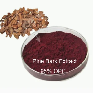 Pine Bark Extract Powder 95% Oligomeric Proanthocyanidins Pinus Pinaster Bark - Picture 1 of 1