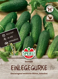 Einlegegurke 'Excelsior' - Cucumis sativus, Freiland Gurken Samen, 80736 - Bild 1 von 2