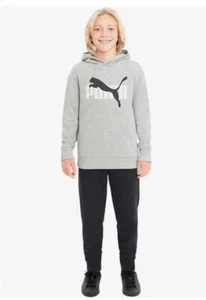 Puma Boy's Youth French Terry Hoodie With Kangaroo Pocket Gray Sz M-10/12 NWT - Picture 1 of 4
