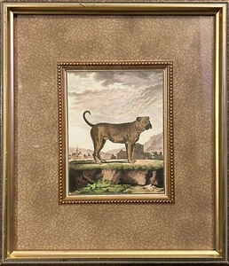 The Raschella Collection Art Print Titled Dogs lll George L Comte deBuffon 20x16 - Picture 1 of 22