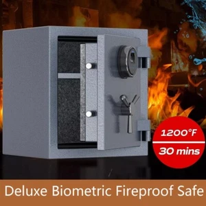 RPNB Safe Box Lock Security for Cash Gun 1.0 Cubic Feet Home Office - Zdjęcie 1 z 3