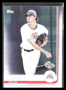 Sean Hjelle 2019 Topps Pro Debut #8