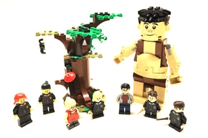 LEGO Harry Potter 75967 Forbidden Forest 76386 76420 No Horses 7Minifigures! - Picture 1 of 10