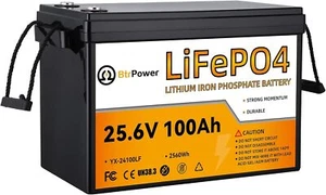 24V 100Ah LiFePO4 Lithium BtrPower Battery for RV Marine Solar System 100A BMS - Picture 1 of 9