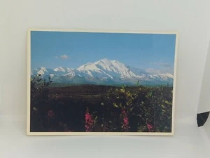 Impresiones de imp de Alaska de colección Mt. Postal McKinley Tichnor # 4B-MCM sin usar - Imagen 1 de 2