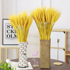 50 piezas ramo espiga de trigo paquete plantas reales flores secas decoración - Imagen 1 de 8