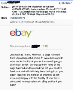 Chicken Eggs 13 X Mixed Plus FREE CHICK & EGG SEXING 🐣Magnet(w/£6.99) - Picture 1 of 12
