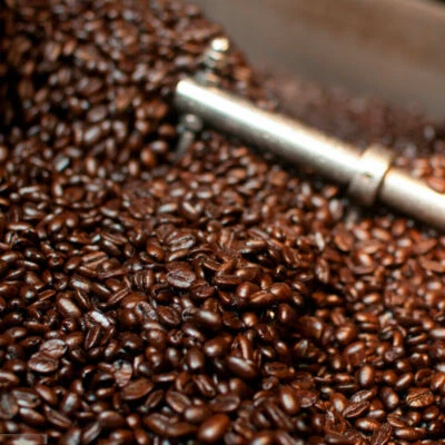 BLUE MACAW COFFEE ROASTERS MEXICAN OAXACA COFFEE BEANS DARK ROASTED 2 POUNDS IN 1 POUND BAGS