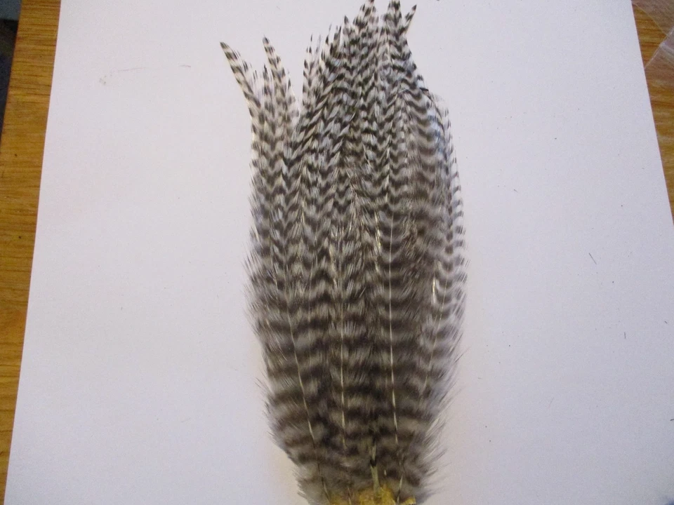 Whoolly Bugger Hackle Patch Grizzle Serpentinas Blanco y Negro Lucio Salmón Foto 1 de 1