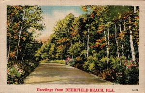 POSTAL SALUDOS DESDE DEERFIELD BEACH FLORIDA - ESCENA DE LA CARRETERA - Imagen 1 de 2