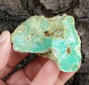 64Gr Natural Bluish Green CHRYSOPRASE Mineral Specimen Rough - Picture 1 of 15