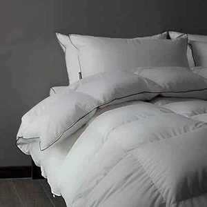 DOWNFORT Luxury Feathers Down Fiber Comforter (Queen Size) - WHITE - Picture 1 of 10