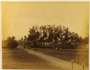 Photographie 1880, palmeraie, maisons coloniales, Asie - Bild 1 von 1